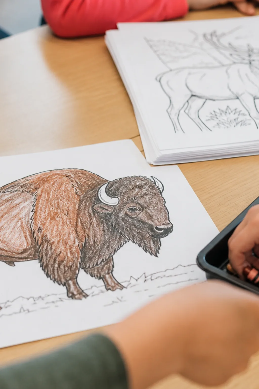 desenhos de búfalo para colorir - 2