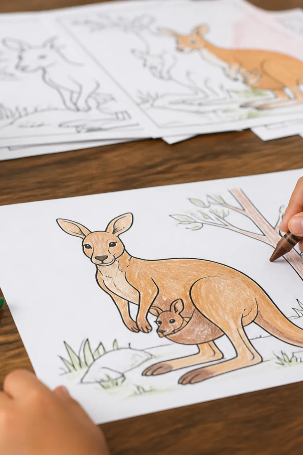 desenhos de canguru para colorir - 2
