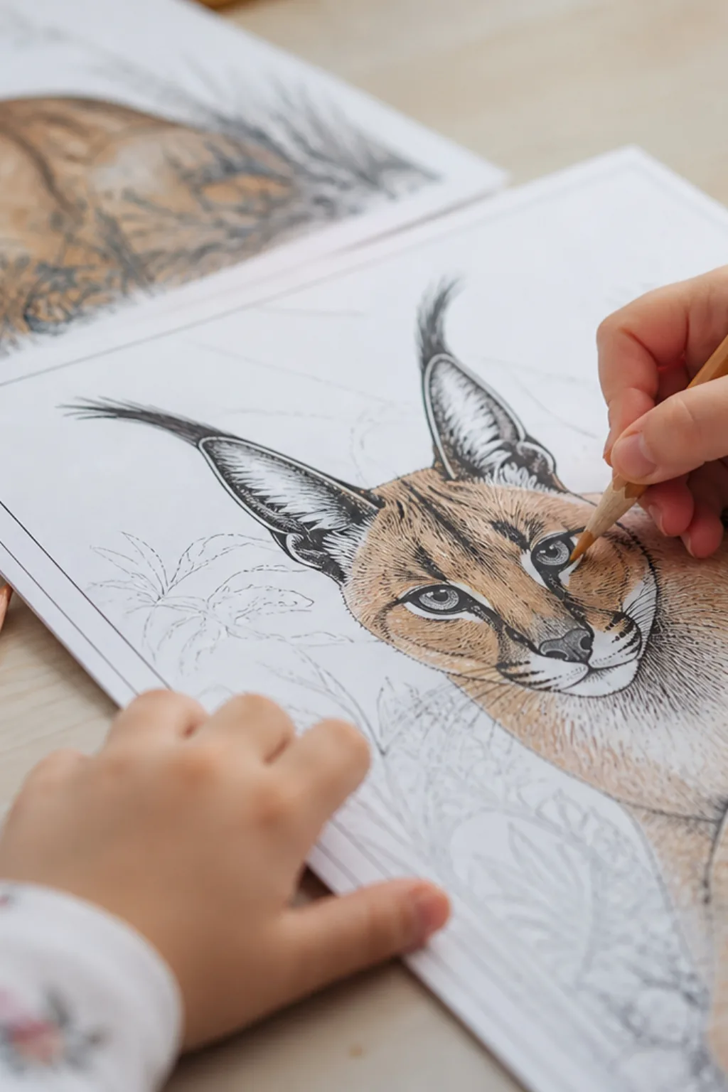 desenhos de caracal para colorir - 2