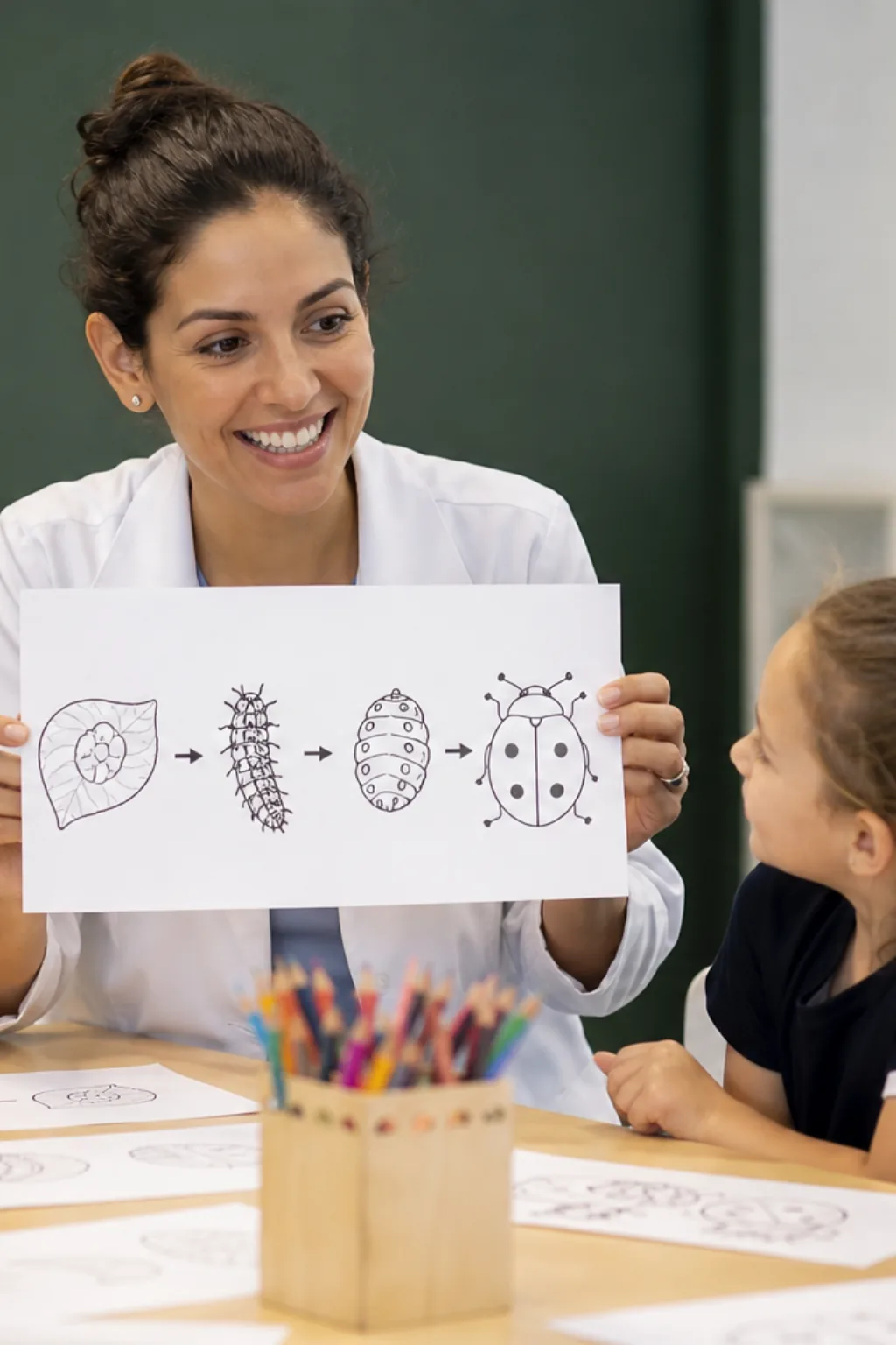 desenhos do ciclo de vida da joaninha para colorir — exemplo criado na Desenhos pra Colorir
