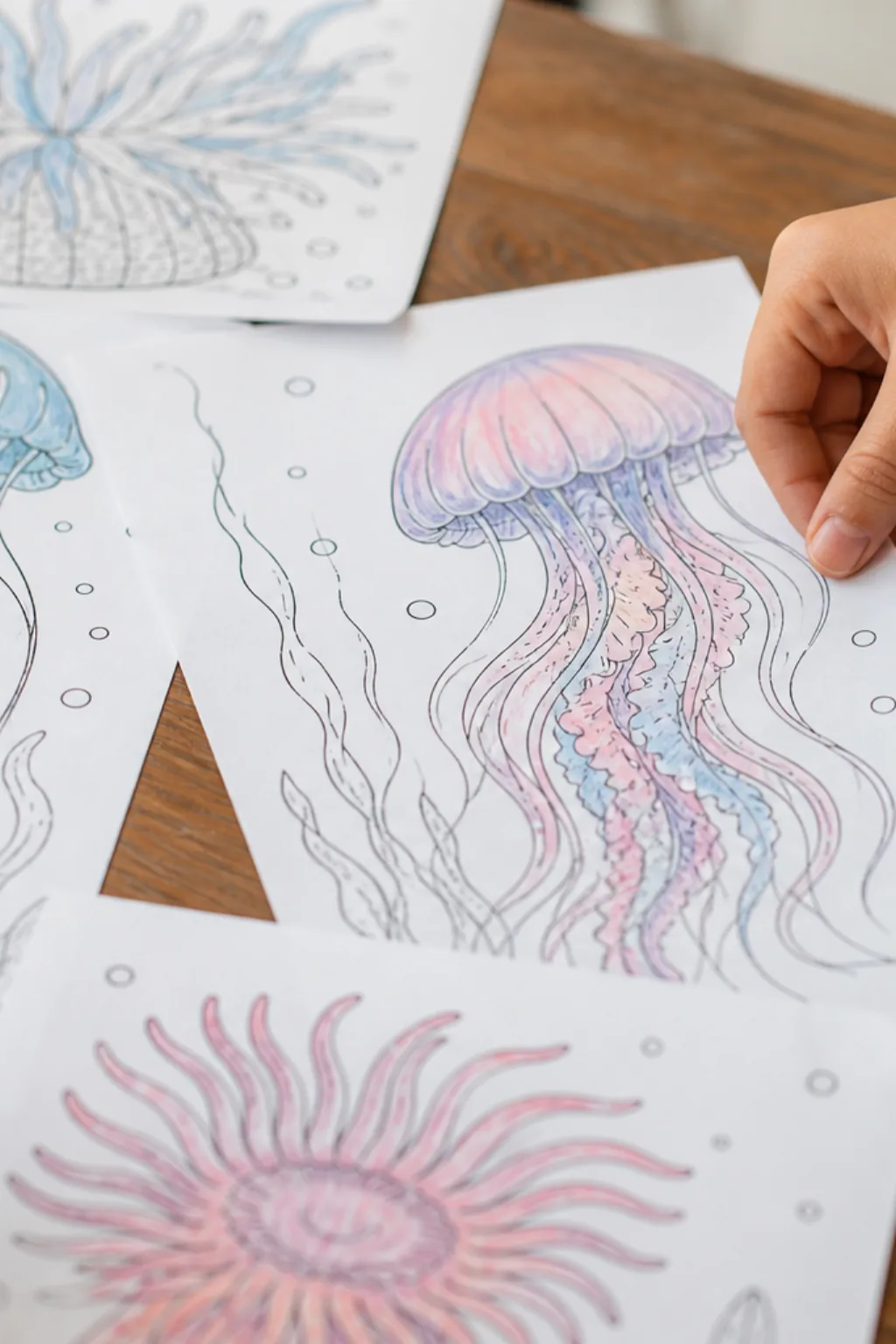 desenhos de cnidários para colorir - 2