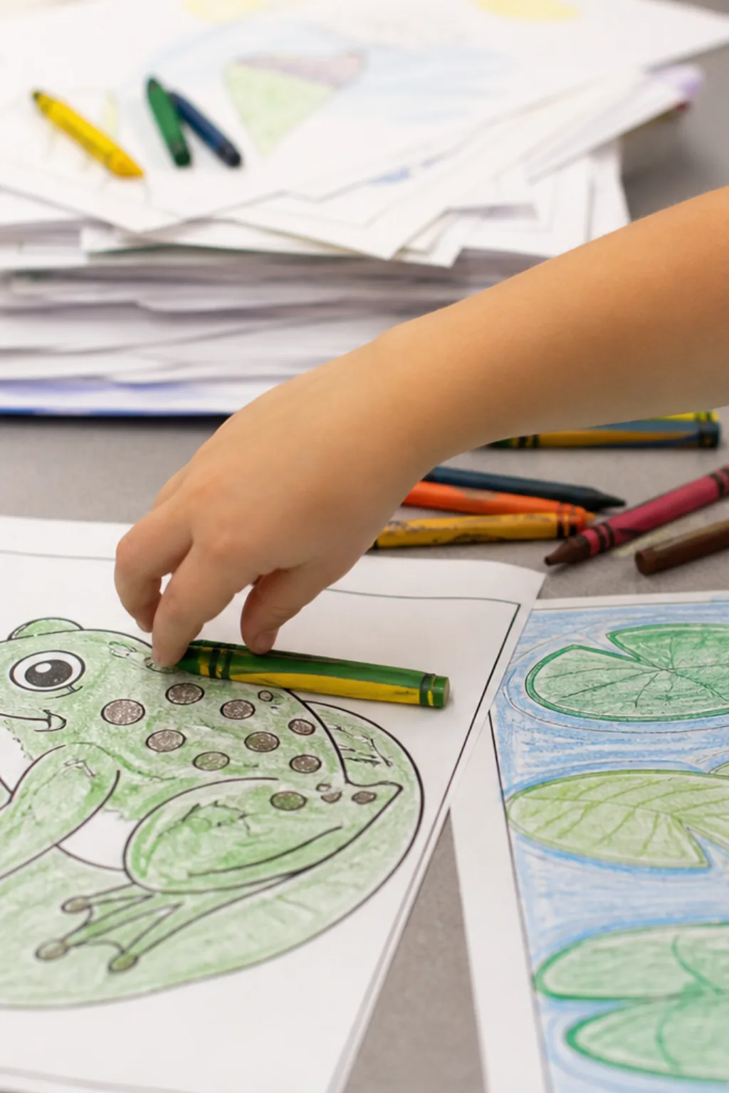 desenhos de sapo para colorir - 2
