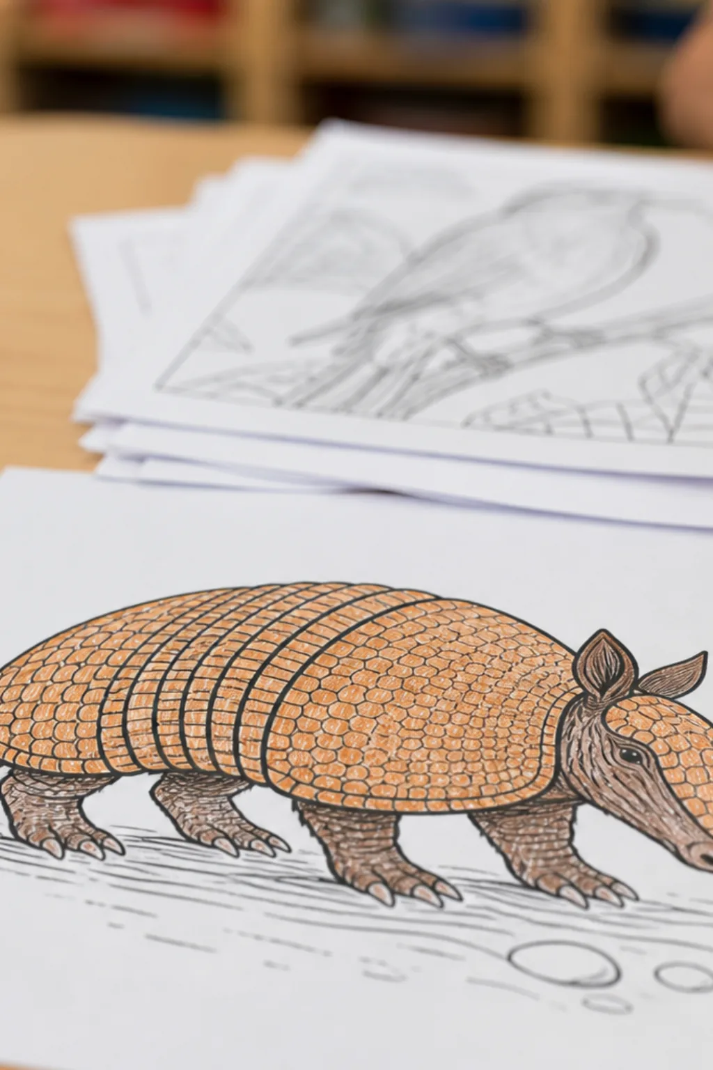 desenhos de tatu para colorir - 2