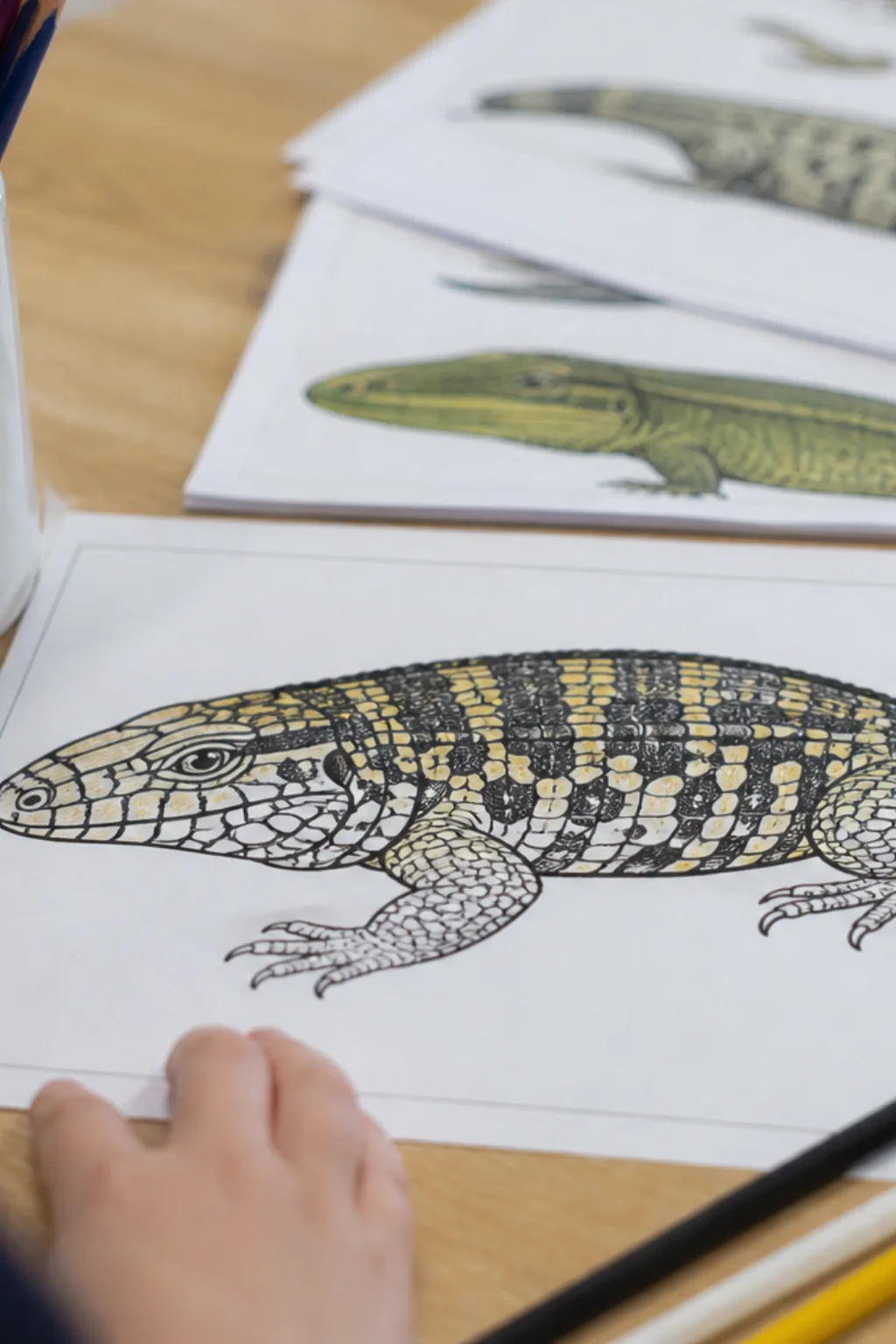 desenhos de teiú para colorir - 2