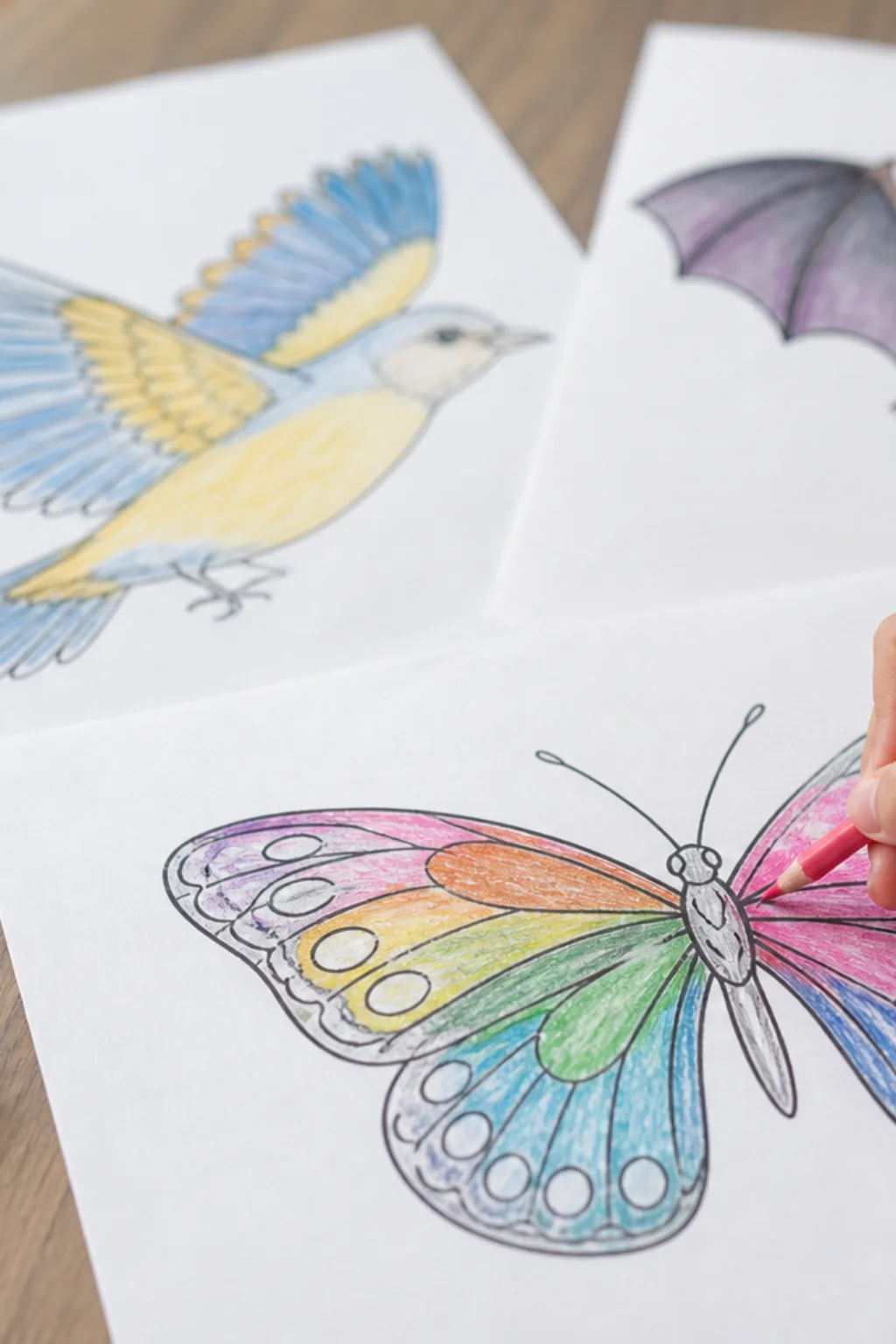 desenhos de animais que voam para colorir - 2