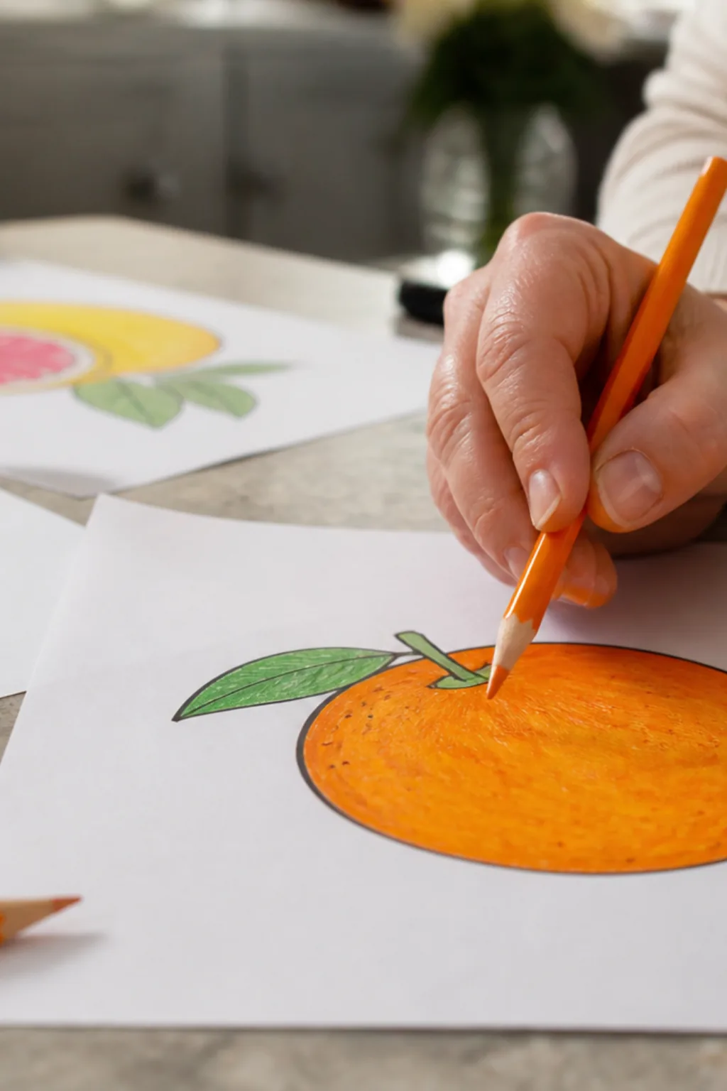 desenhos de laranja para colorir - 2
