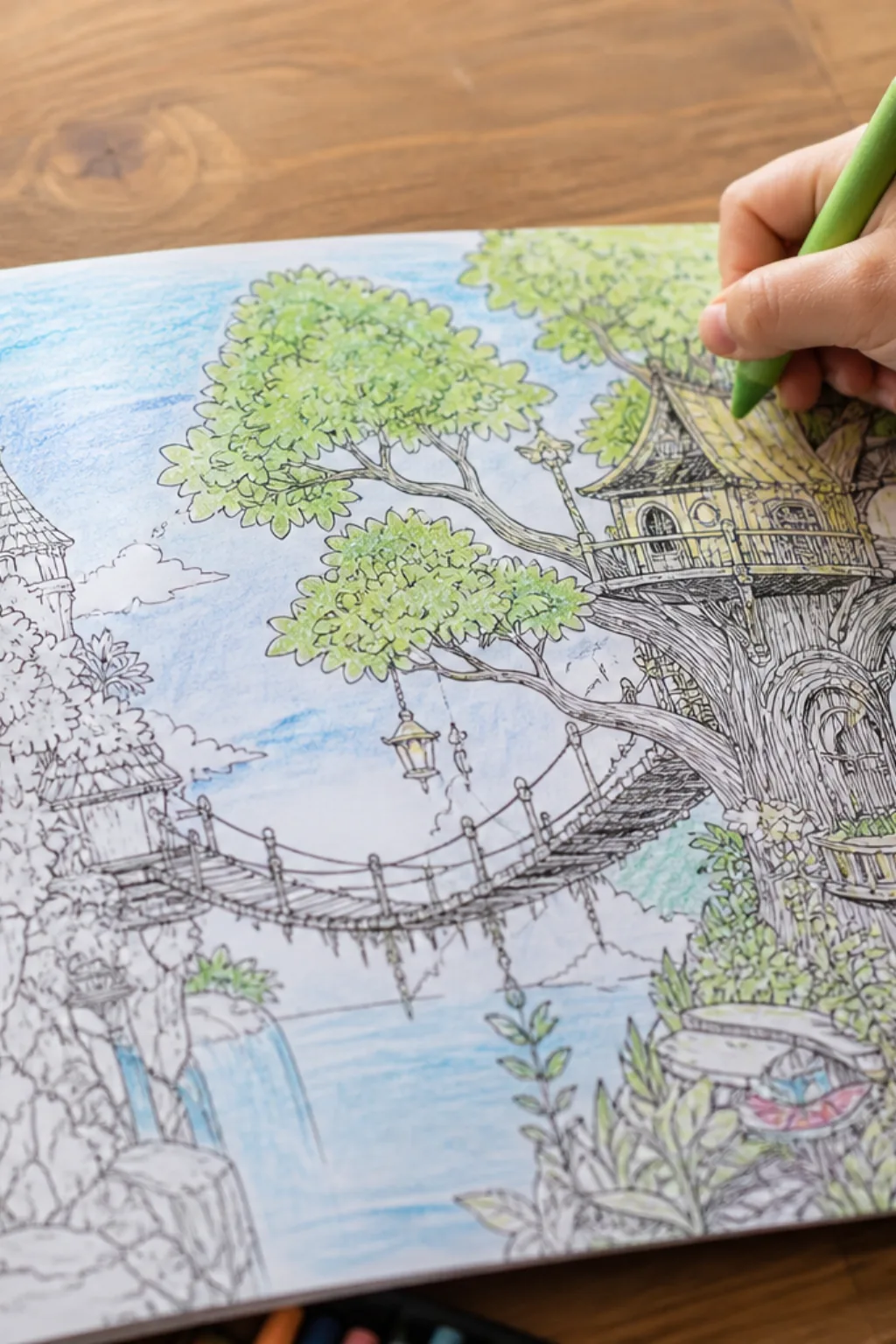 desenhos de Ponte para Terabítia para colorir - 2