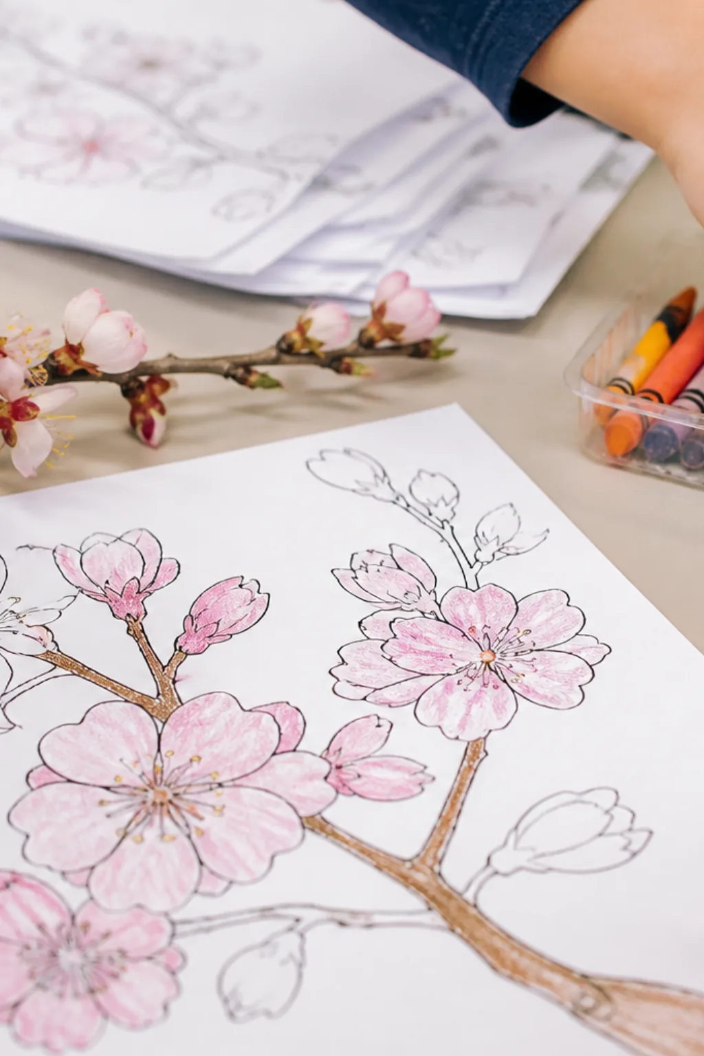desenhos de flor de amendoeira para colorir - 2