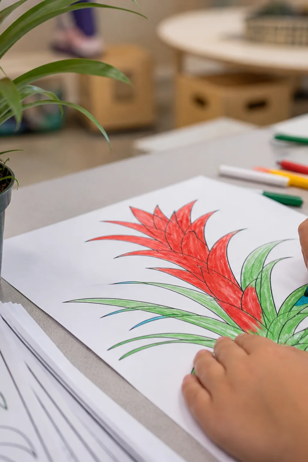 desenhos de bromélias para colorir - 2